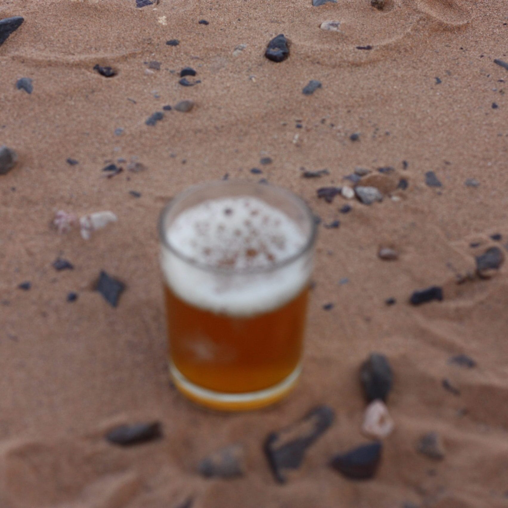 paleomoroccotours tours from ouarzazate to merzouga sahara desert
