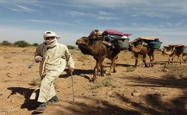 paleomoroccotours morocco