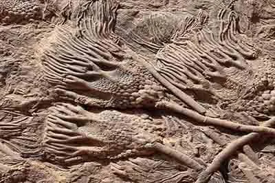 8 Days Geological And Mineral Fossil Tours From Ouarzazate