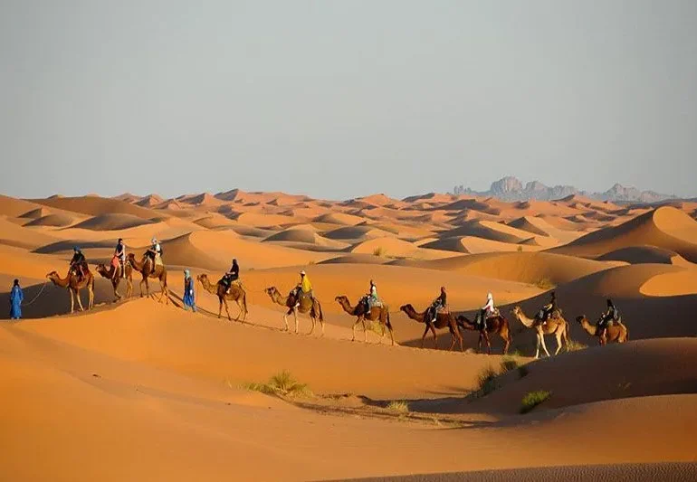 sahara desert tour