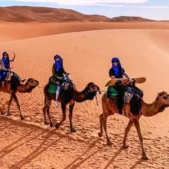 paleomoroccotours from marrakech. day trip from Marrakesh