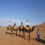 paleomoroccotours Things See In Merzouga Sahara Desert