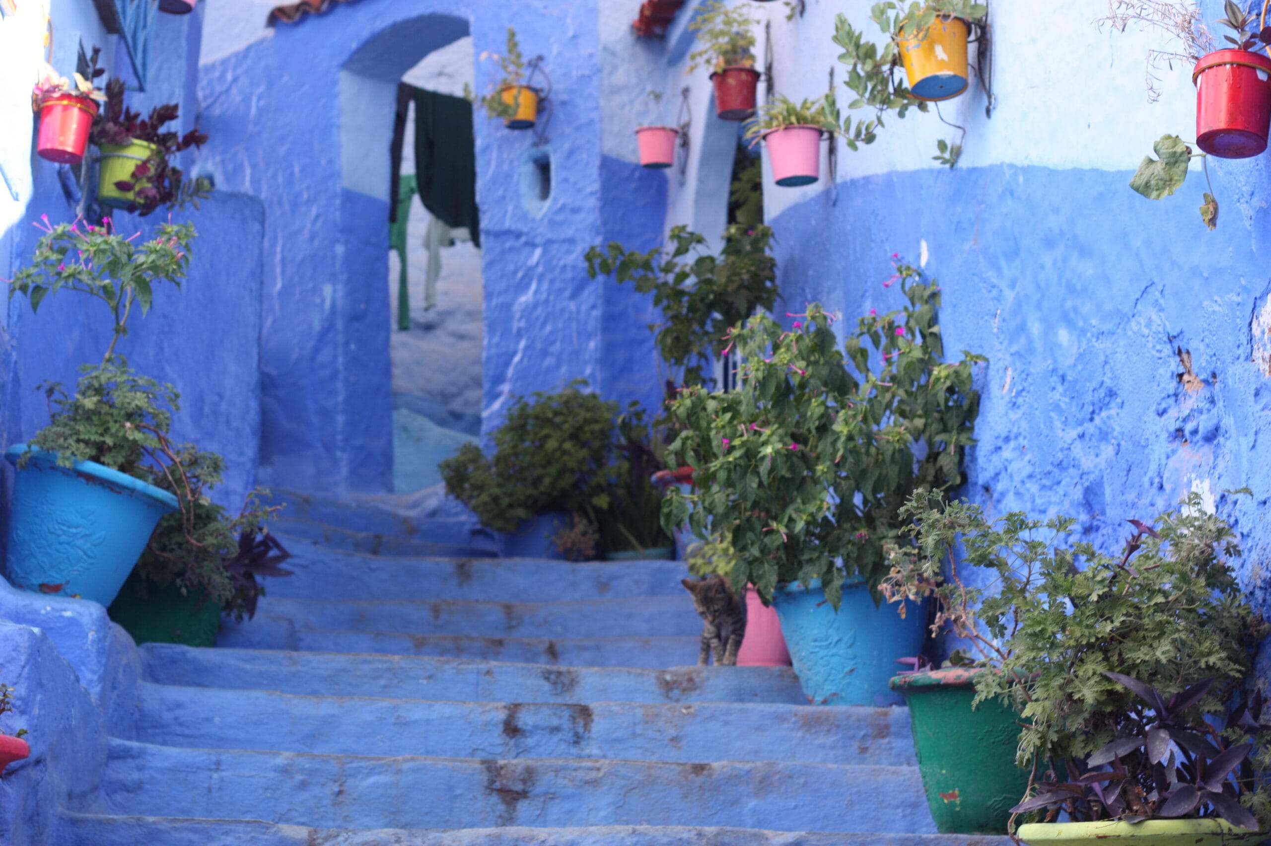 paleomoroccotours day trips from Fes. tours from meknes