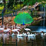 paleomoroccotours Things To See In Agadir
